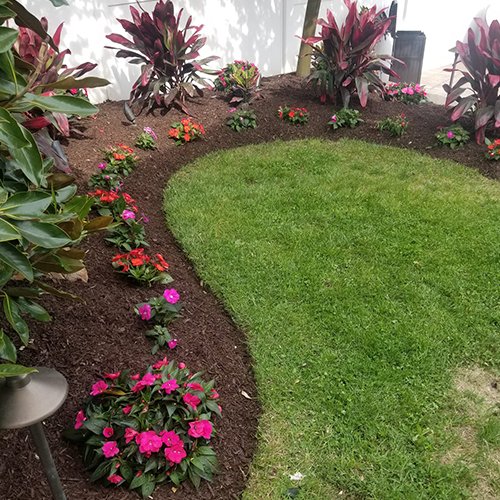 Image Moreno's landscape & Design LLC